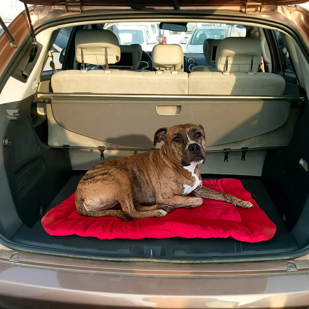 big dog sofa bed