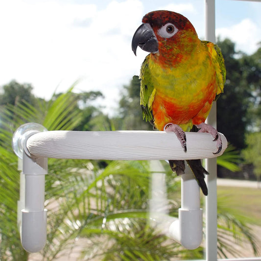 Parrot Shower Perch With Suction Cup Bird Cockatoo Bath Perch Toy