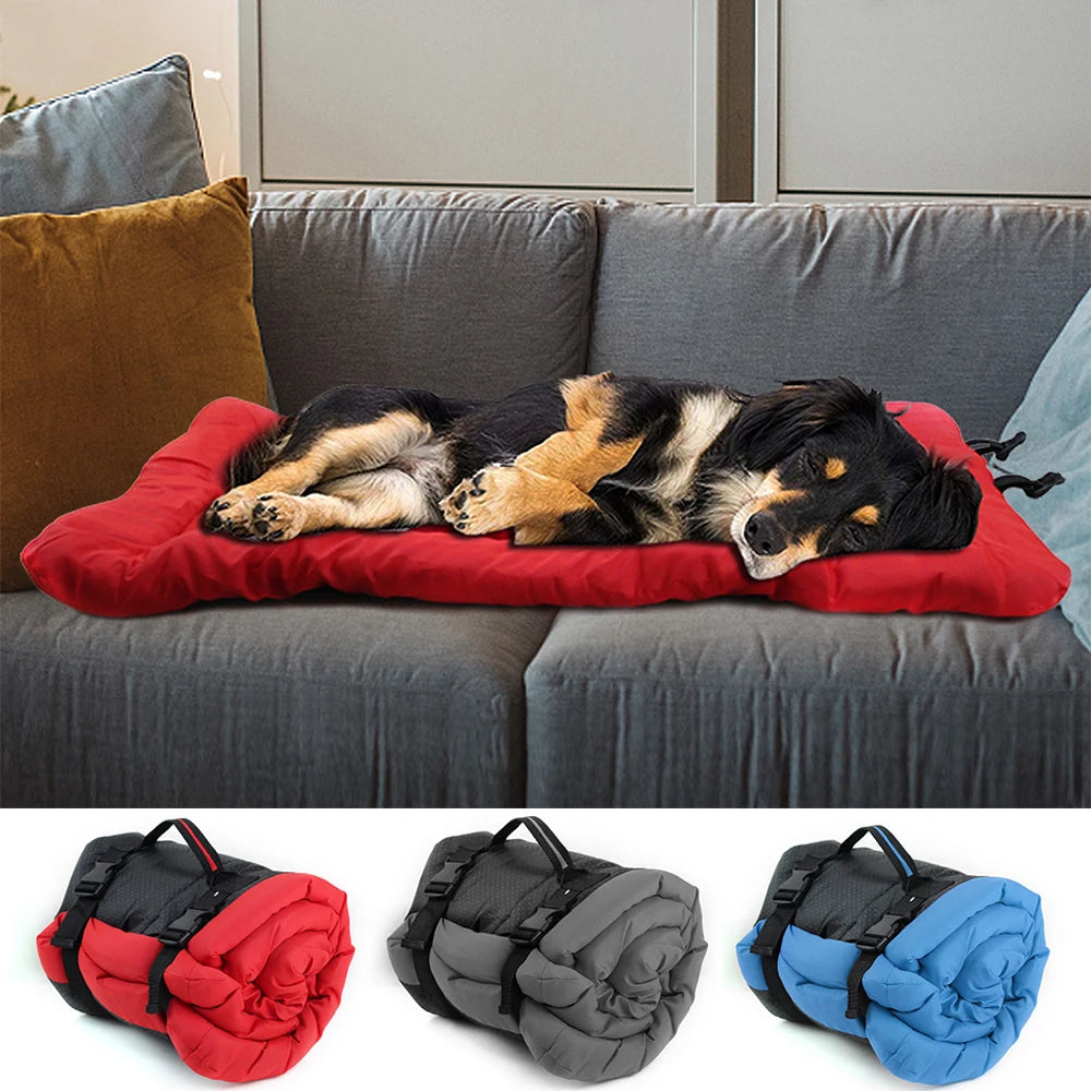 big dog sofa bed