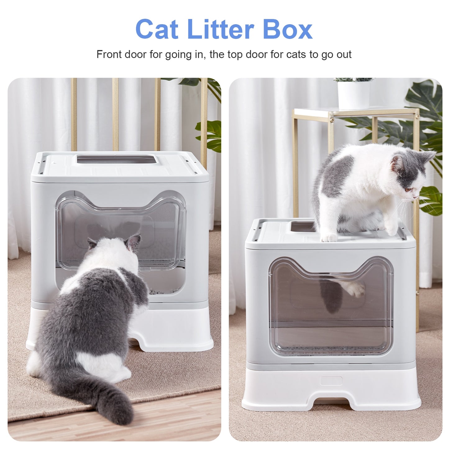 Front Entry Top Exit Cat Litter Box with Lid