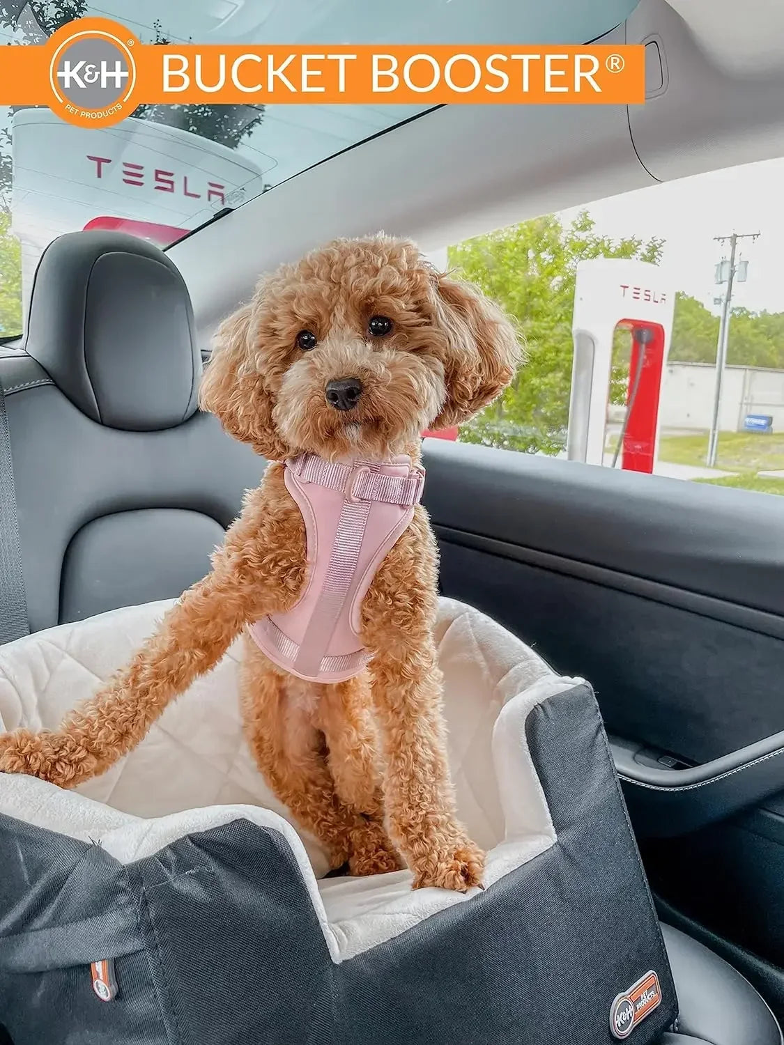 Bucket Booster Dog Car Seat with  Seat Belt