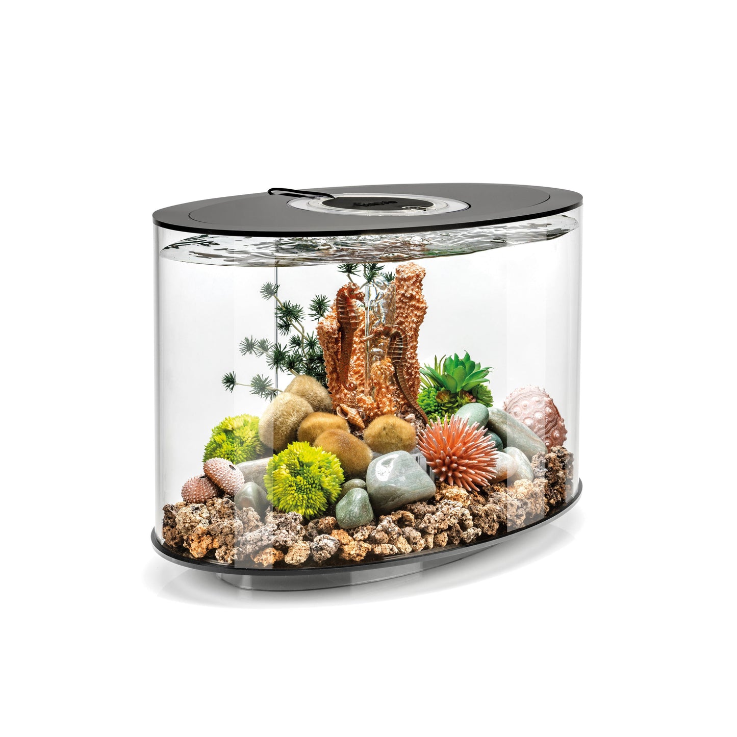 4 Gallon Fish Tanks Large Size Aquarium for Gold Fish