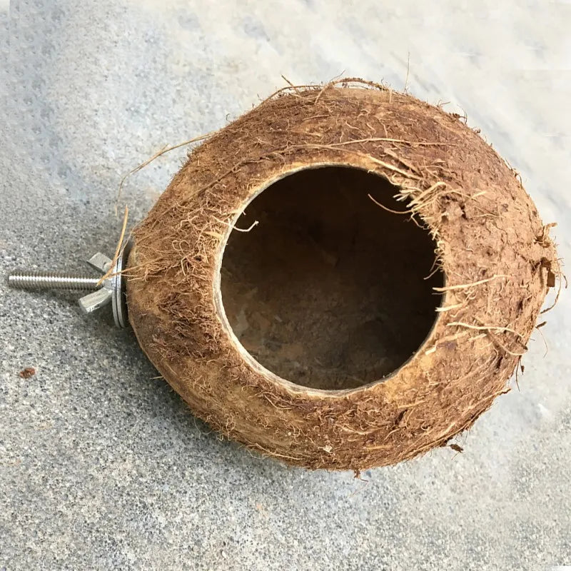 Pet Bird Comfortable Coconut Shell Nest