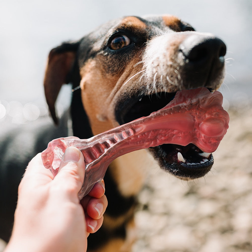 Aggressive Chewers Large Dogs Bone-Shaped Indestructible Toy