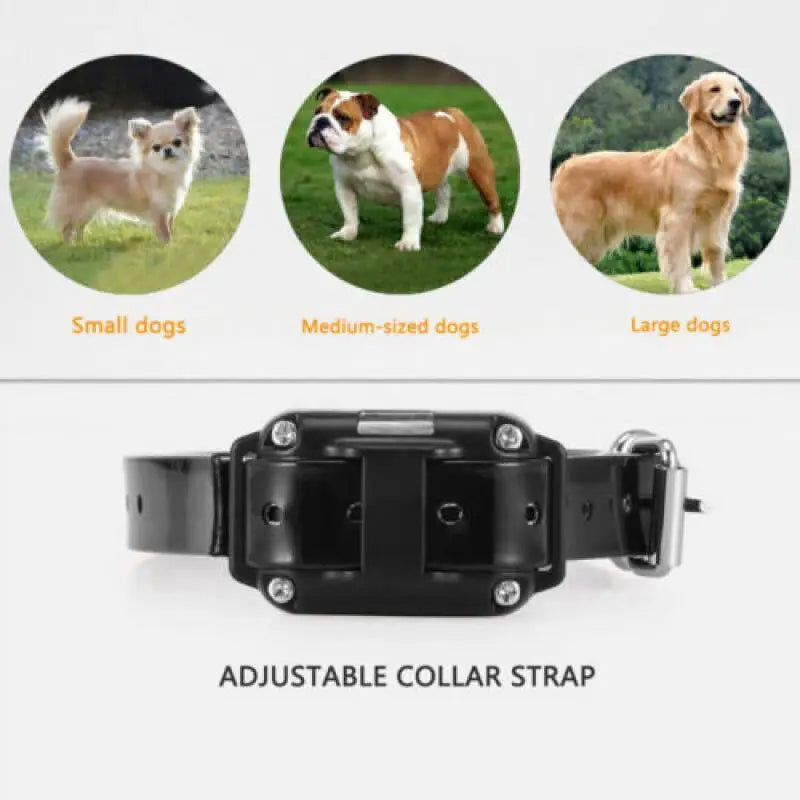 Electric Dog Training Collar Waterproof Pet Remote Control Rechargeable